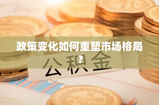 桦南政策变化如何重塑市场格局？