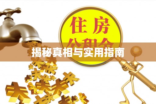 桦南揭秘真相与实用指南