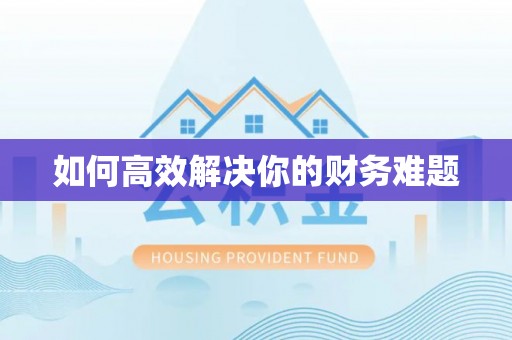 桦南如何高效解决你的财务难题