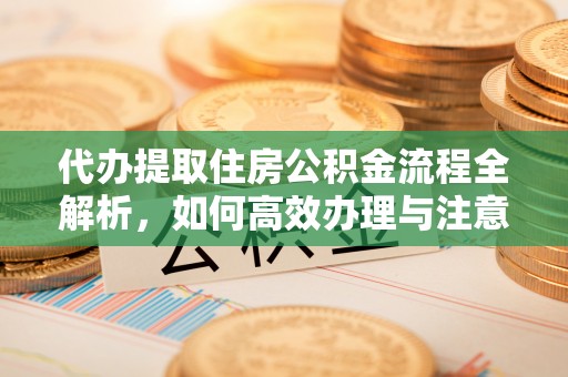桦南代办提取住房公积金流程全解析，如何高效办理与注意事项