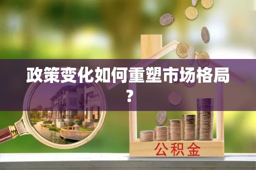 桦南政策变化如何重塑市场格局？