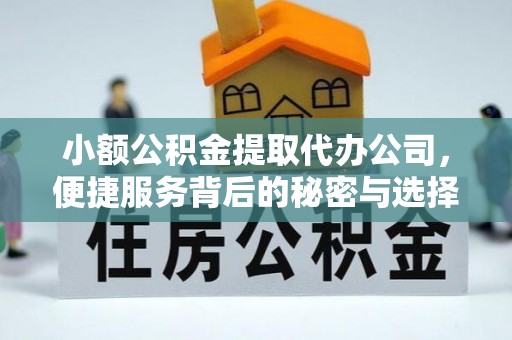 桦南小额公积金提取代办公司，便捷服务背后的秘密与选择指南