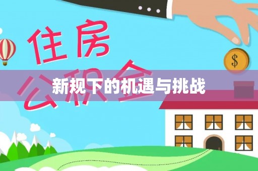 桦南新规下的机遇与挑战